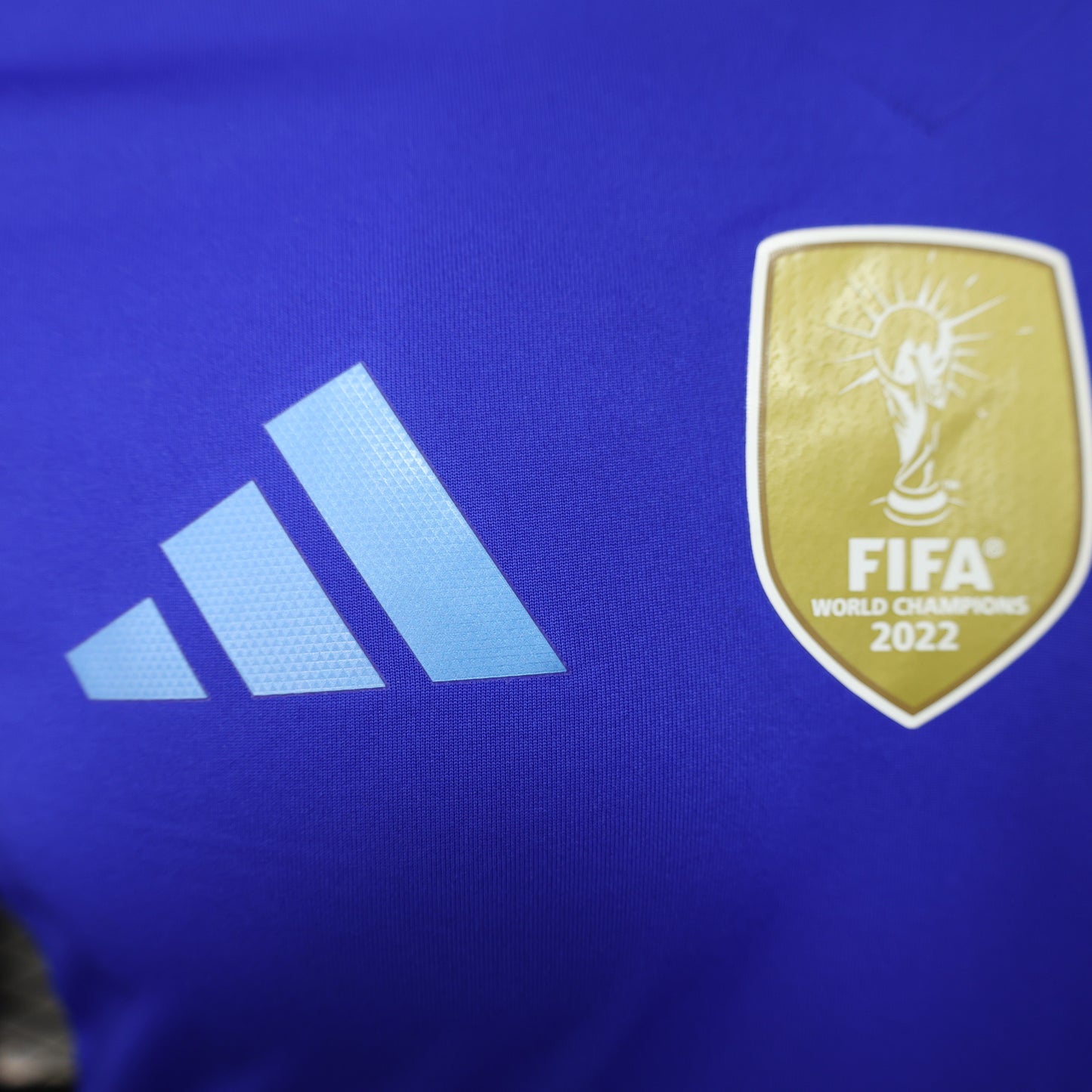 Camiseta Versión Jugador Argentina Visita 2024