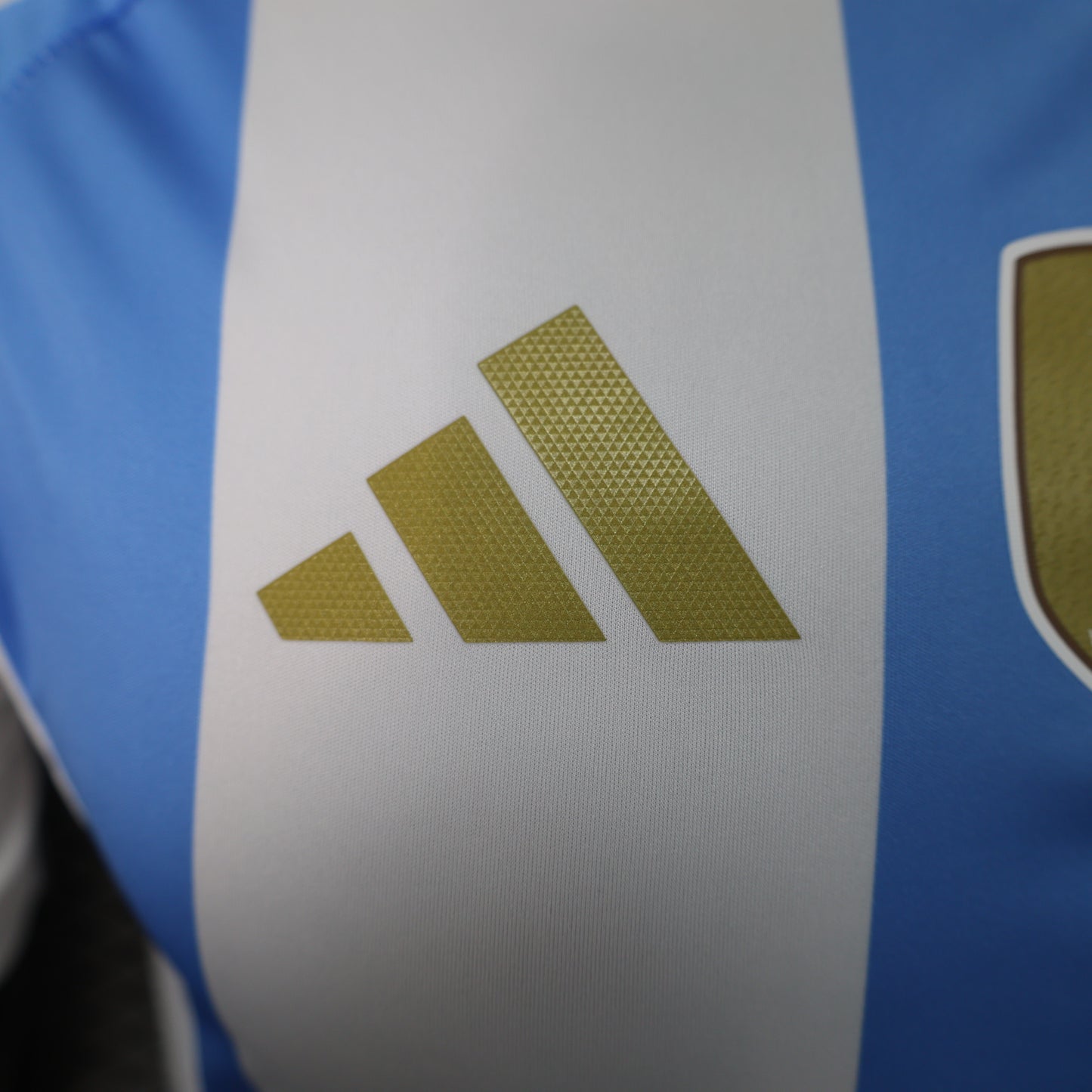 Camiseta Versión Jugador Argentina 2024