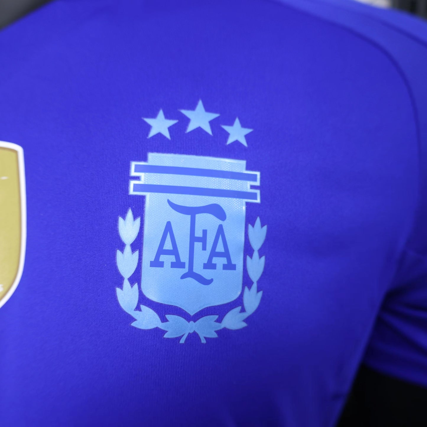 Camiseta Versión Jugador Argentina Visita 2024