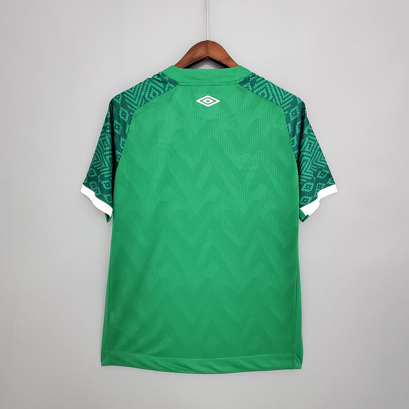 Camiseta Versión Fan Chapecoense Local 2021