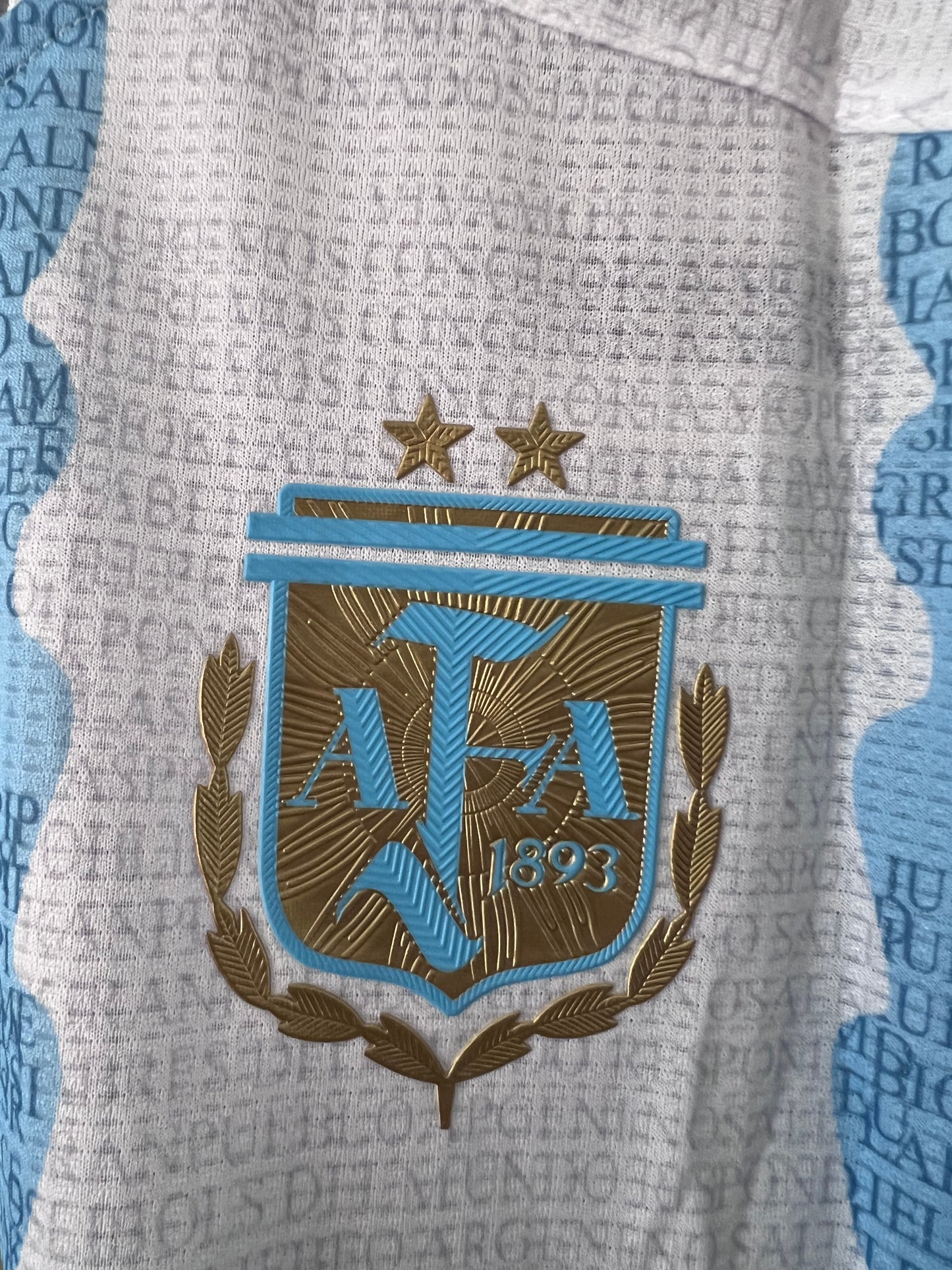 Camiseta Versión Jugador Argentina Conmemorativa MARADONA #10